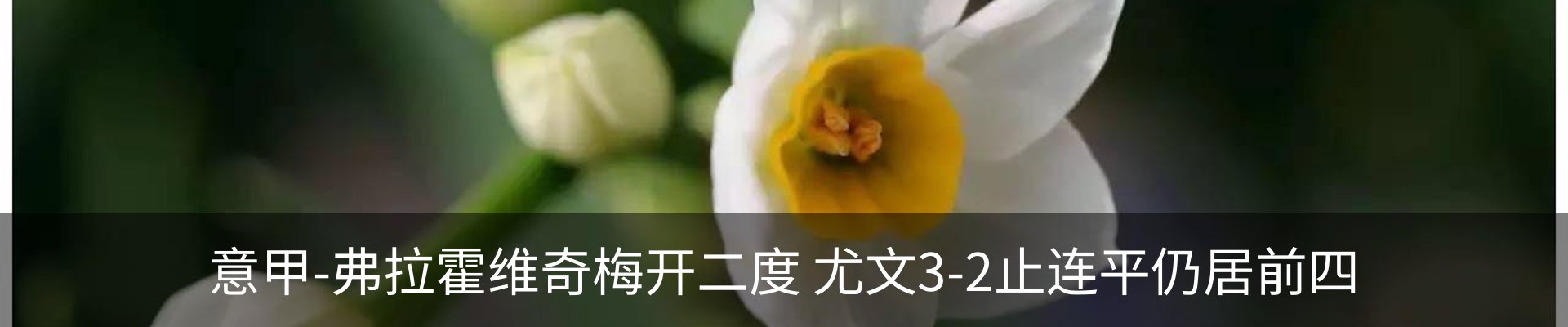 资讯动态