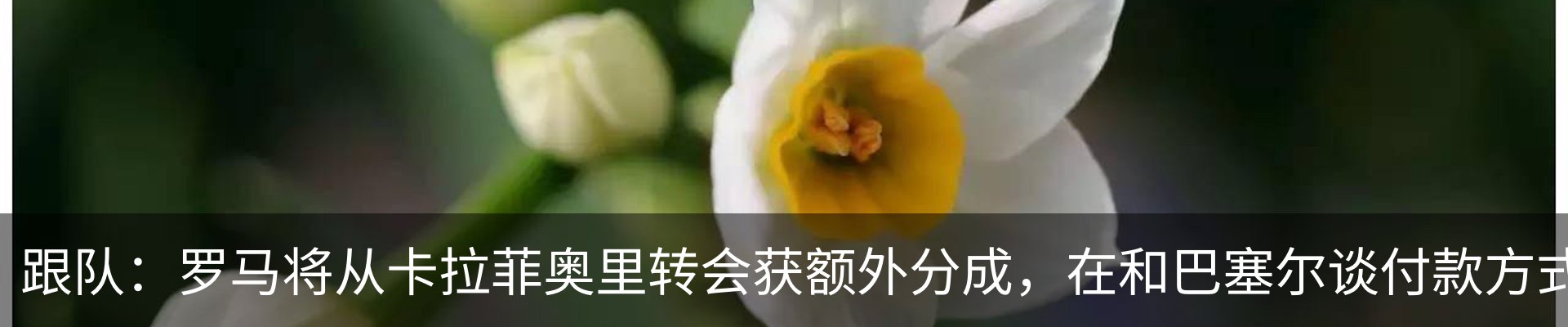 资讯动态